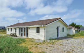 Pet Friendly Home In Ringkøbing With Wifi